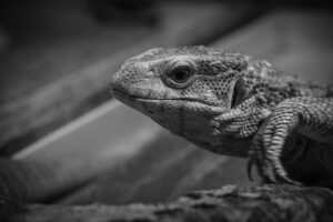 転職エージェントを利用する40代におすすめの推薦状の威力とは？