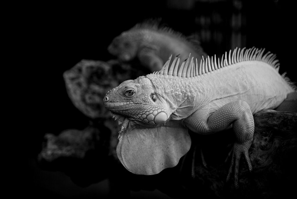 転職サイトで40代向けの非公開求人はどこがいい？